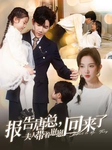 报告唐总夫人带着崽崽回来了（100集）短剧视频分享