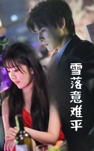雪落意难平（35集）短剧热播推荐
