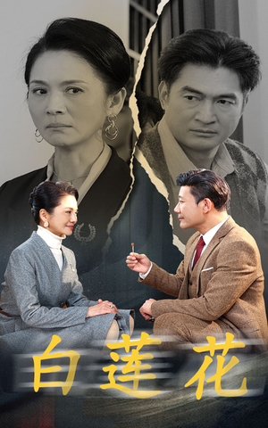 白莲花（40集）独家短剧免费看