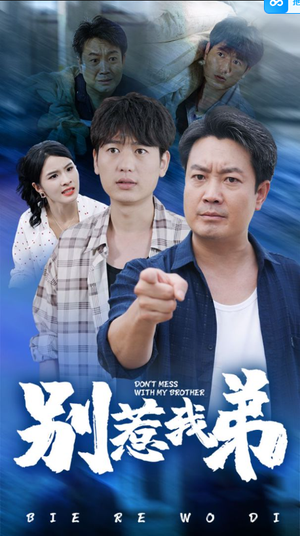 别惹我弟（60集）解说文案