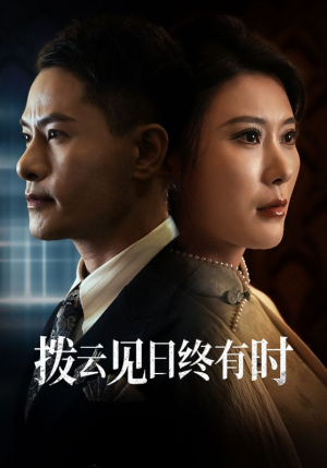 拨云见日终有时（30集）大结局完美收官