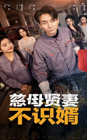 慈母贤妻不识婿（45集）免费短剧全集看