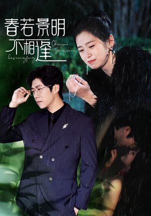 春若景明不相逢（50集）爆款短剧抢先看