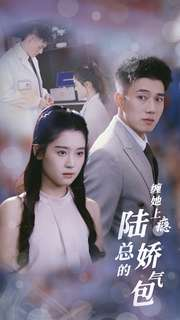 缠她上瘾陆总的娇气包（80集）短剧视频分享