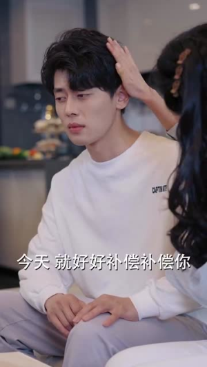 宠物情人（87集）一共多少集