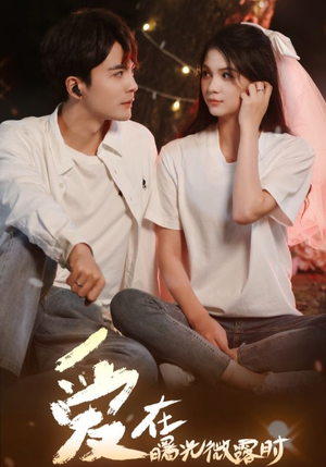 爱在曙光微露时（49集）精彩连连免费看