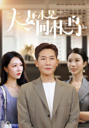 夫妻本是同林鸟（76集）短剧小说在线看