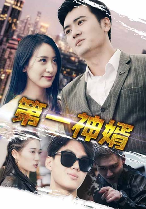 第一神婿（110集）爆款短剧一起追