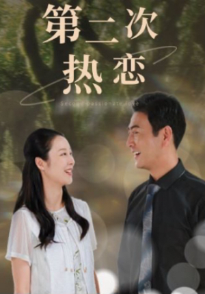 第二次热恋（48集）第一集