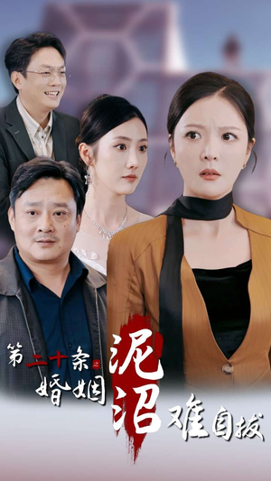 第二十条之婚姻沼泽难自拔（31集）最后一集