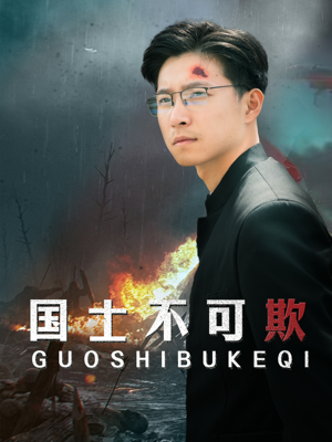 国士不可欺（79集）一口气看完