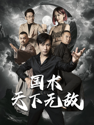 国术天下无敌（62集）看精彩短剧