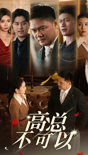 高总不可以（45集）看精彩短剧