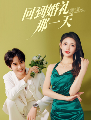 回到婚礼那一天（88集）剧情简介