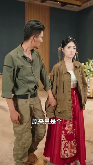 大夏荣耀（74集）怎么看全集