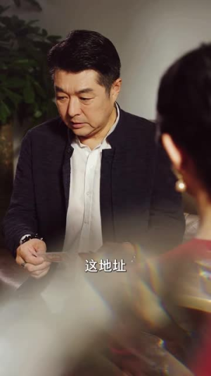 回归家好月圆（36集）全剧免费观看