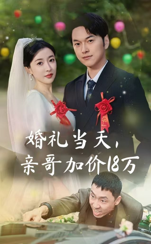 婚礼当天，亲哥加价18万（36集）第一季