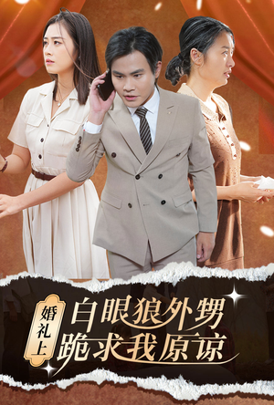 婚礼上白眼狼外甥跪求我原谅（35集）热门短剧来袭