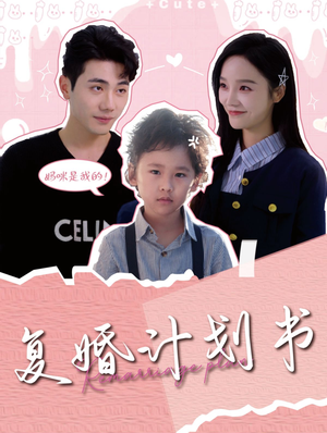 复婚计划书(96集) 复婚计划书(96集)全集在线看