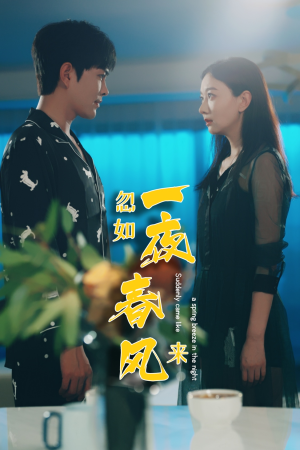忽如一夜春风来（28集）好看的短剧分享