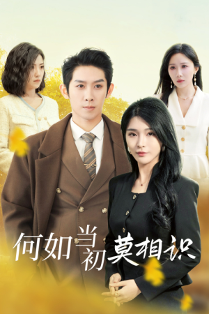 何如当初莫相识（36集）短剧全集抢先看