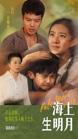 海上生明月（59集）分享热门短剧