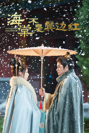 海棠不是鬓边红（30集）短剧推荐分享