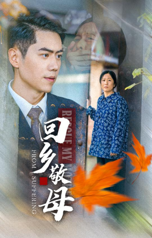回乡敬母（43集）经典老剧免费看