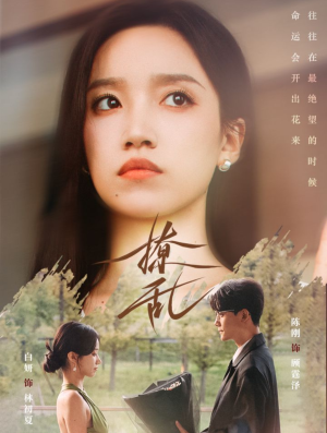 撩乱(65集) 撩乱(65集)追短剧太上头了