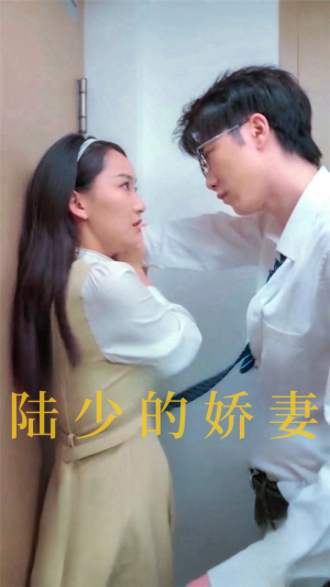 陆少的娇妻（100集）红果短剧免费看