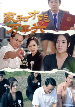 家和才能万事兴（30集）1-102集