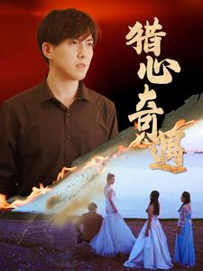 猎心奇遇（91集）好看到停不下来