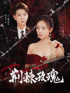 荆棘玫瑰（100集）迅雷网盘观看