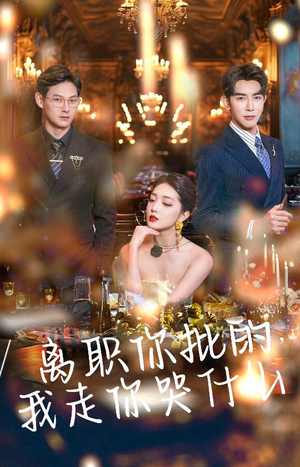 离职你批的，我走你哭什么（30集）高清无码免费看