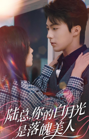 陆总，你的白月光是落魄美人（39集）全集免费