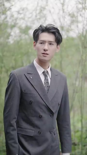 梅花印记（48集）推荐你们也去看