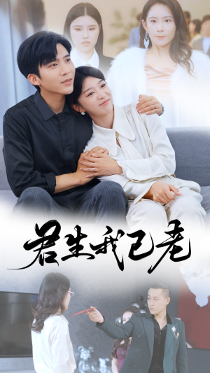 君生我已老（61集）哪个短剧网能看