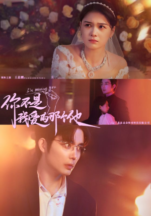 你不是我爱的那个他（54集）分享热门短剧