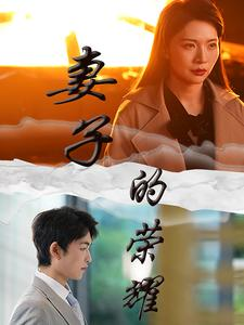 妻子的荣耀（40集）最火短剧热播