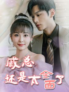 戚总今天追到夫人了么（57集）最新上映的短剧