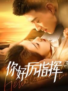 你好厉指挥（100集）短剧太精彩了