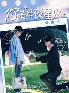 你是暗夜星火（120集）全集都在这里了