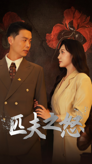 匹夫之怒（48集）短剧每日分享