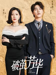 破茧芳华（80集）最新热门短剧