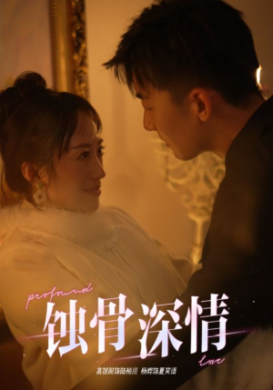 蚀骨深情（54集）一口气追完全集