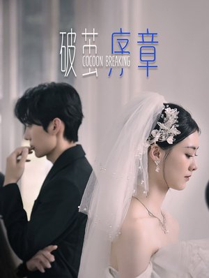 破茧序章（64集）百度网盘在线看