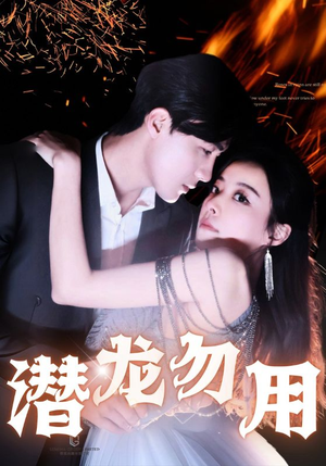 潜龙勿用（87集）短剧追不停