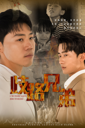 歧路兄弟（63集）免费在线看全集