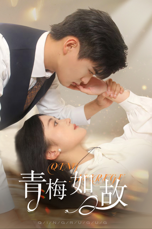 青梅如故（61集）海量资源免费看