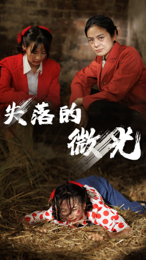 失落的微光（60集）大结局